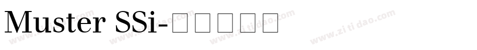 Muster SSi字体转换